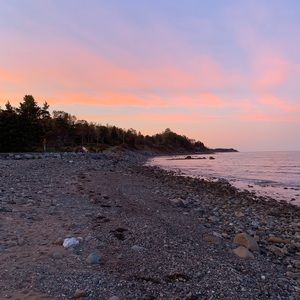 Meet your Posher, Allie